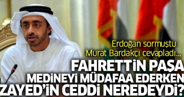 Fahrettin Paa Medineyi mdafaa ederken Zayedin ceddi ne yapyordu?